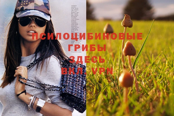 стафф Алексеевка