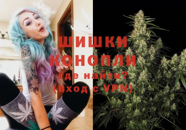 тгк Абаза