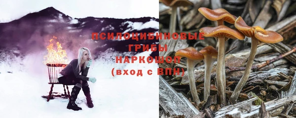 дурь Абинск