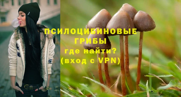 дживик Ростов