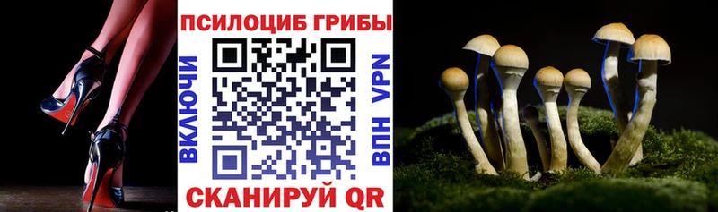 где найти наркотики  Ипатово  Псилоцибиновые грибы MAGIC MUSHROOMS 