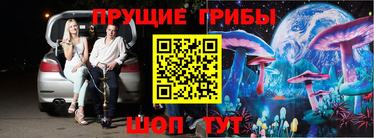 Псилоцибиновые грибы Psilocybe Ипатово